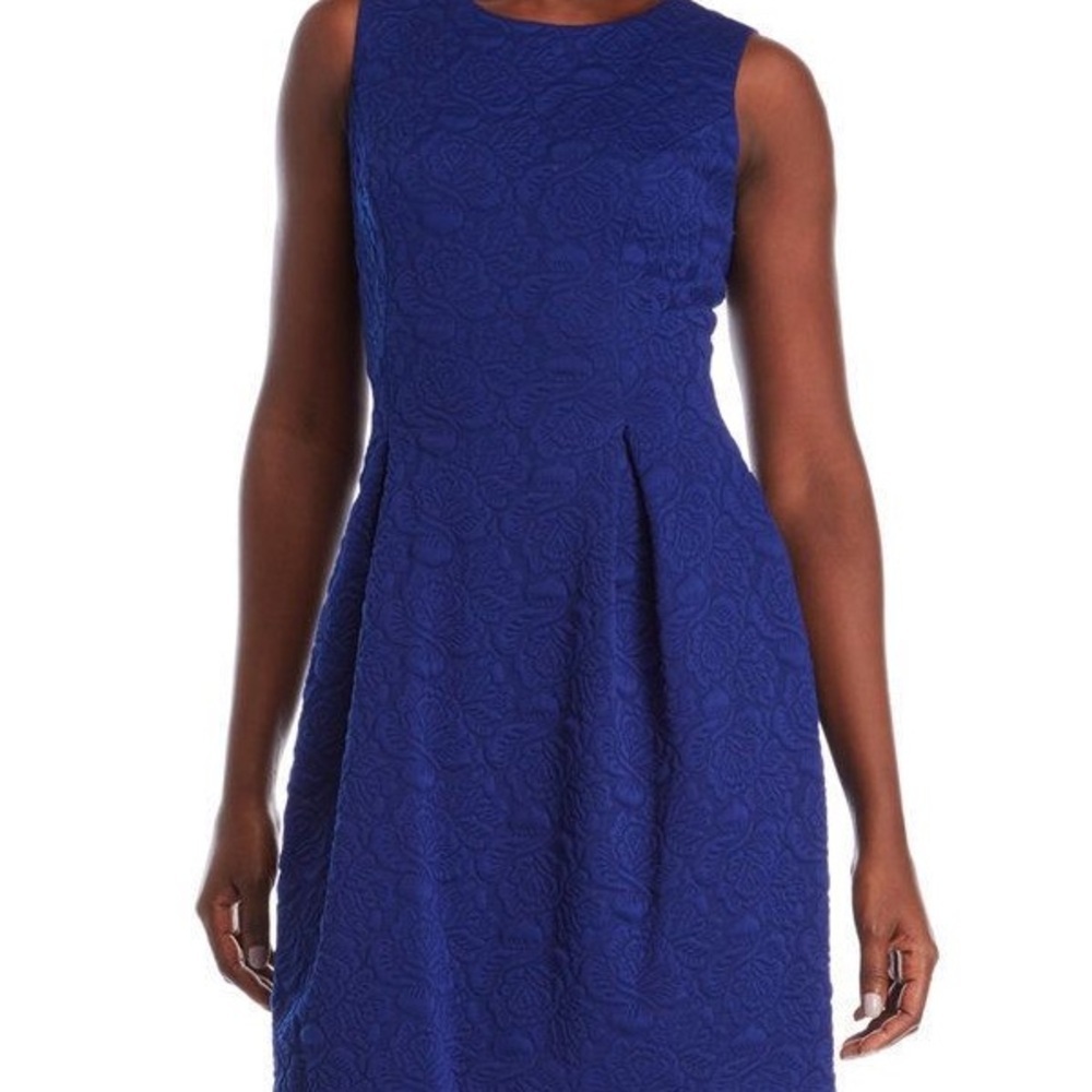 Eliza J Royal Blue Textured Mini Dress